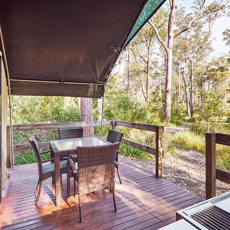 Nrma Darlington Beach Holiday Resort Arrawarra Esterno foto
