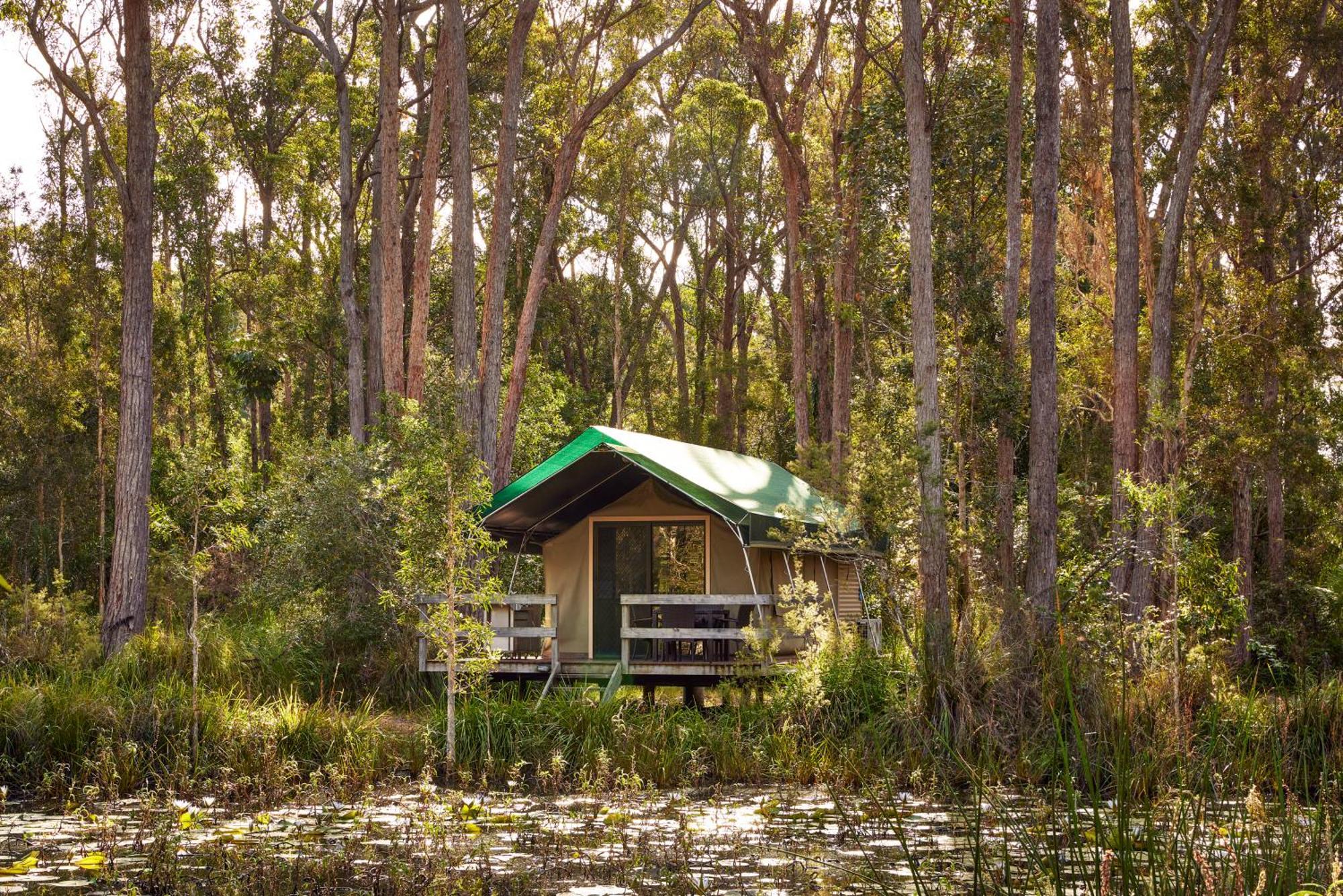 Nrma Darlington Beach Holiday Resort Arrawarra Esterno foto