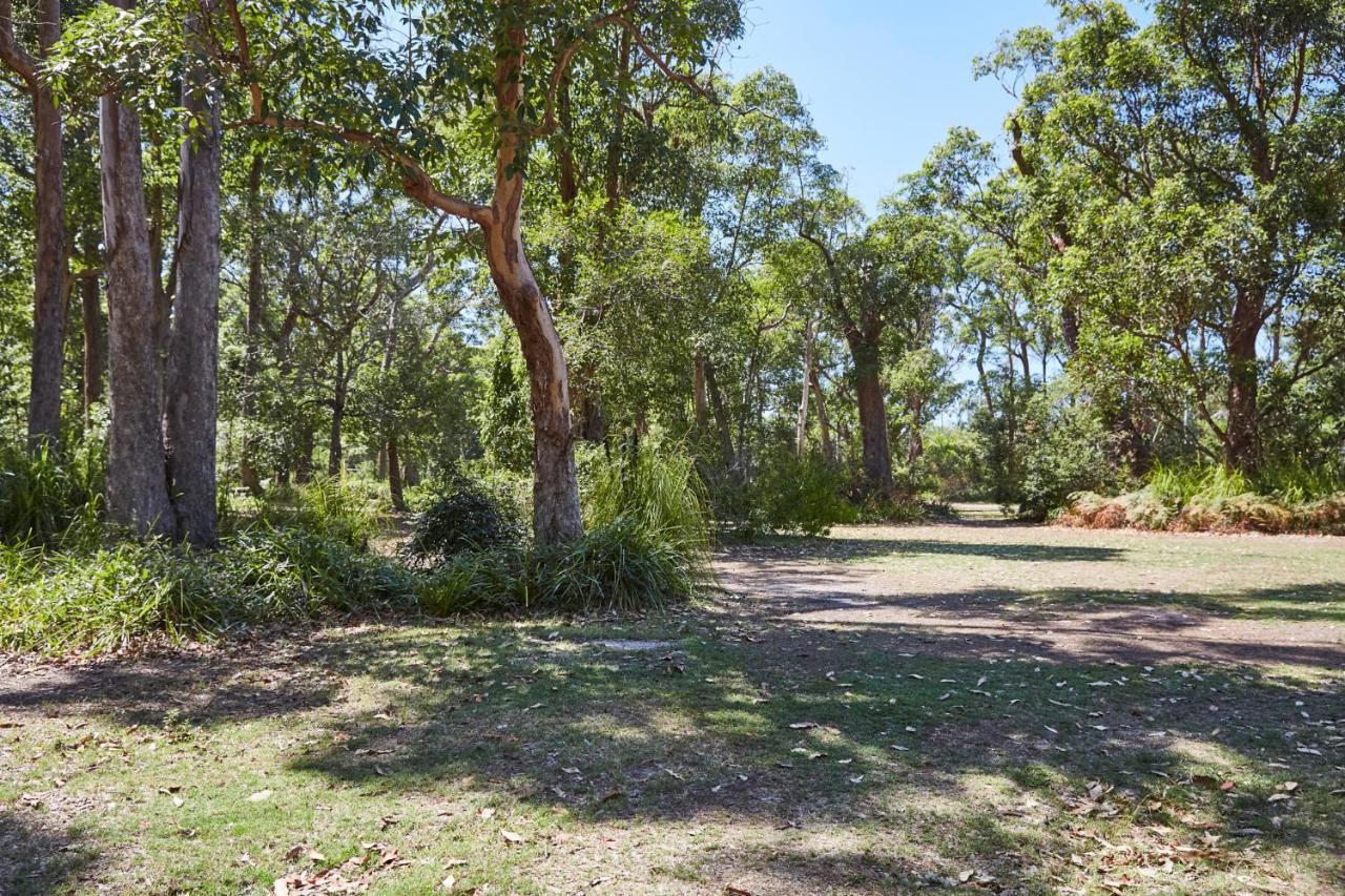 Nrma Darlington Beach Holiday Resort Arrawarra Esterno foto